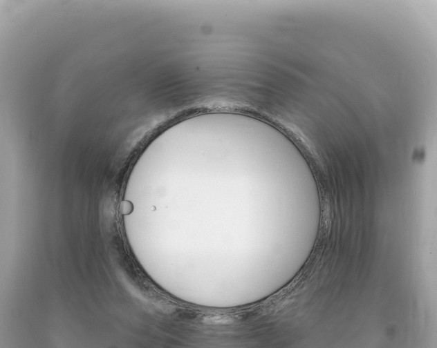 X0000094190208200710261002