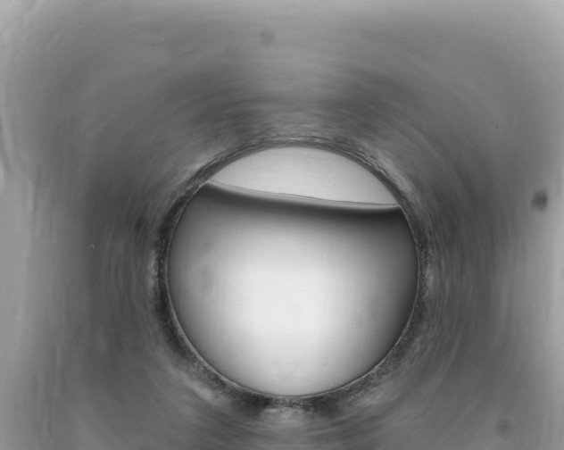 X0000094190211200710261002