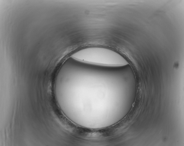 X0000094190212200710261002