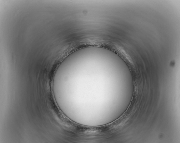 X0000094190213200710261002