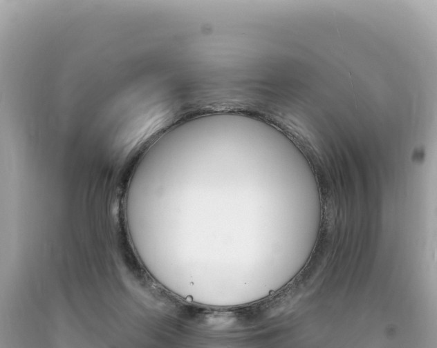 X0000094190214200710261002