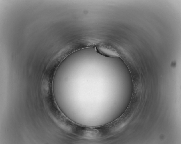 X0000094190215200710261002