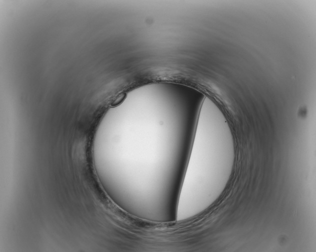 X0000094190217200710261002