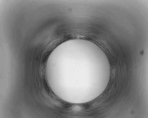 X0000094190218200710261002