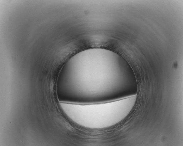 X0000094190219200710261002