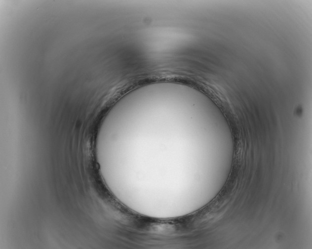 X0000094190220200710261002