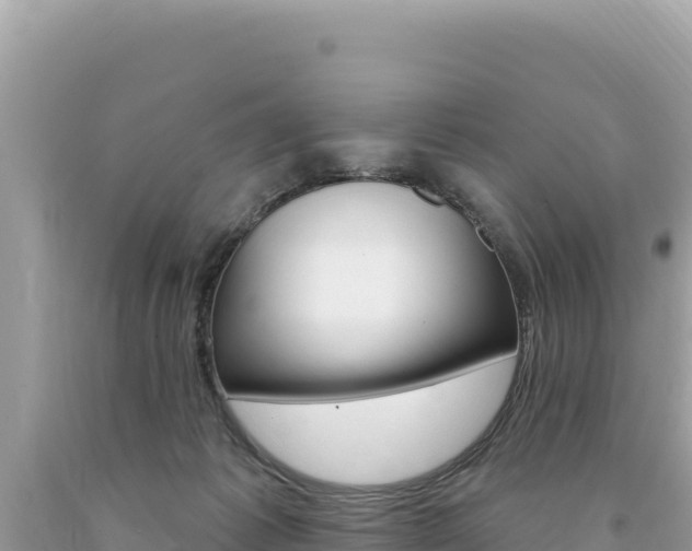 X0000094190221200710261002