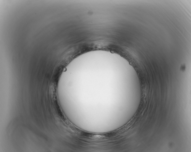 X0000094190222200710261002
