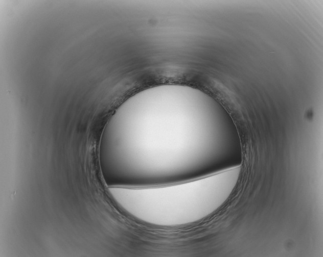 X0000094190225200710261002