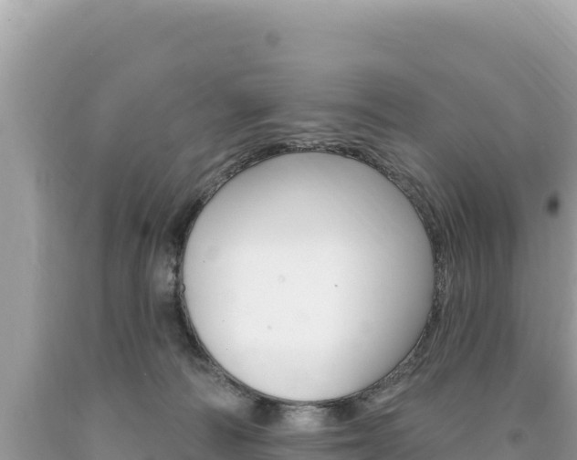X0000094190226200710261002