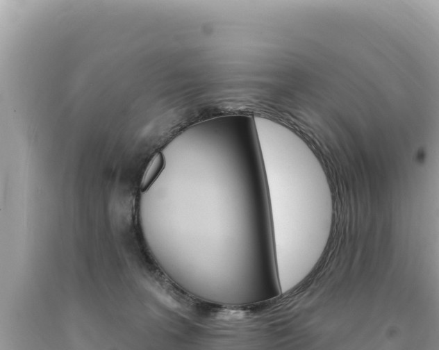 X0000094190227200710261002