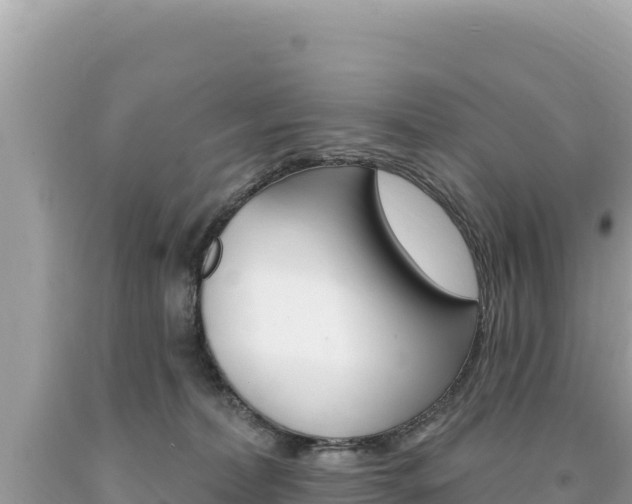 X0000094190228200710261002