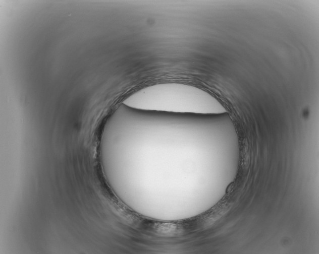 X0000094190230200710261002