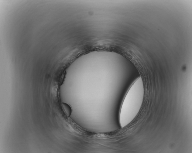 X0000094190231200710261002