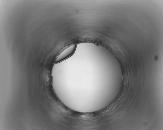 X0000094190232200710261002