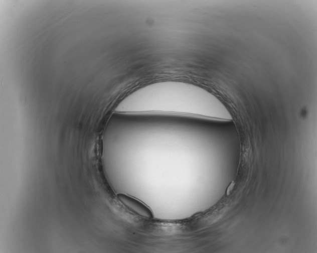 X0000094190233200710261002