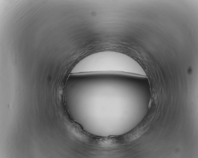 X0000094190235200710261002