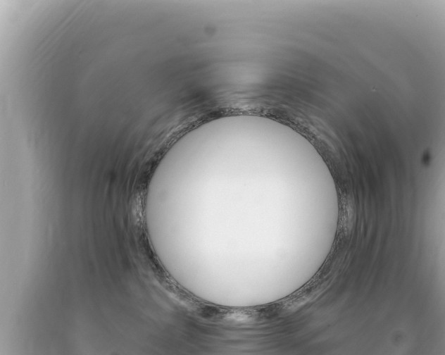 X0000094190236200710261001