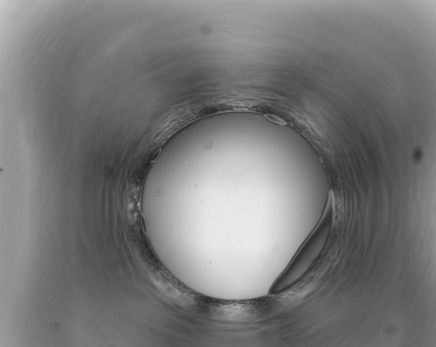 X0000094190237200710261001
