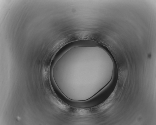 X0000094190239200710261001