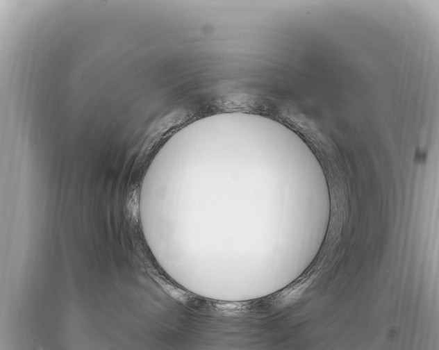 X0000094190240200710261001