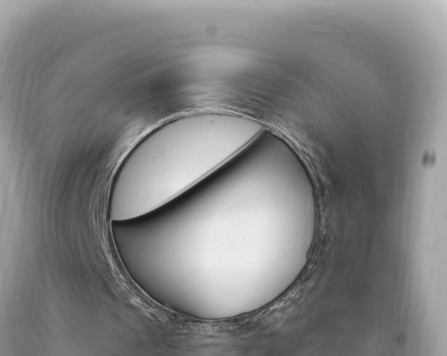 X0000094190241200710261001