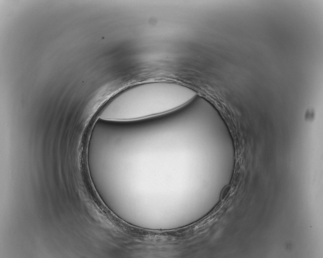 X0000094190242200710261001
