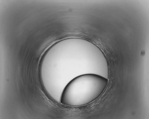 X0000094190243200710261001