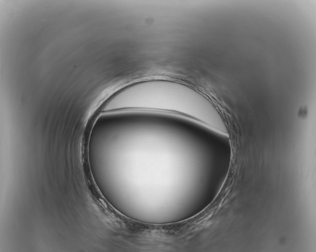 X0000094190244200710261001