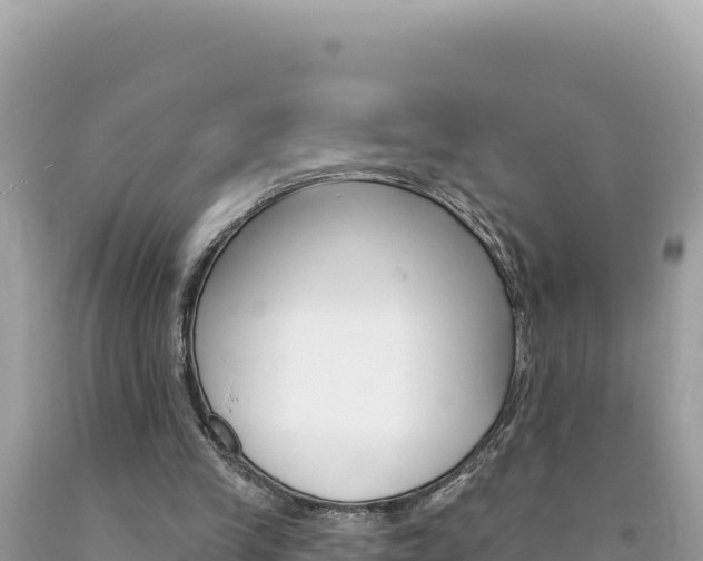 X0000094190245200710261001