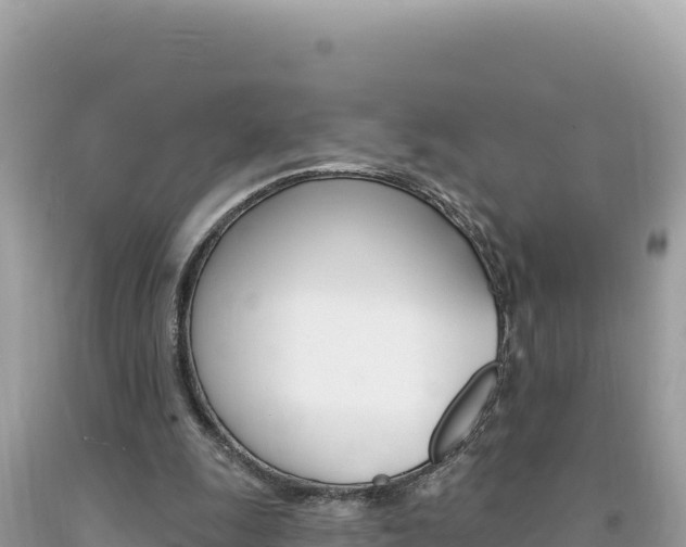 X0000094190247200710261001