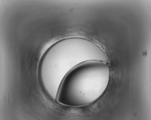 X0000094190248200710261001
