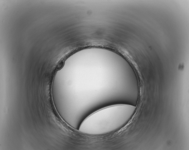 X0000094190249200710261001