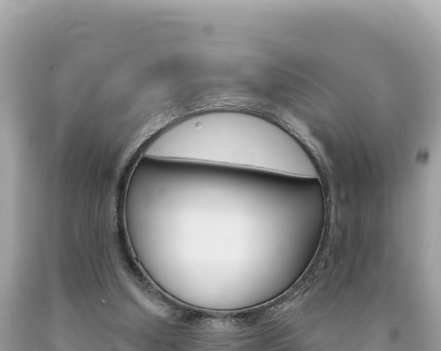 X0000094190250200710261001