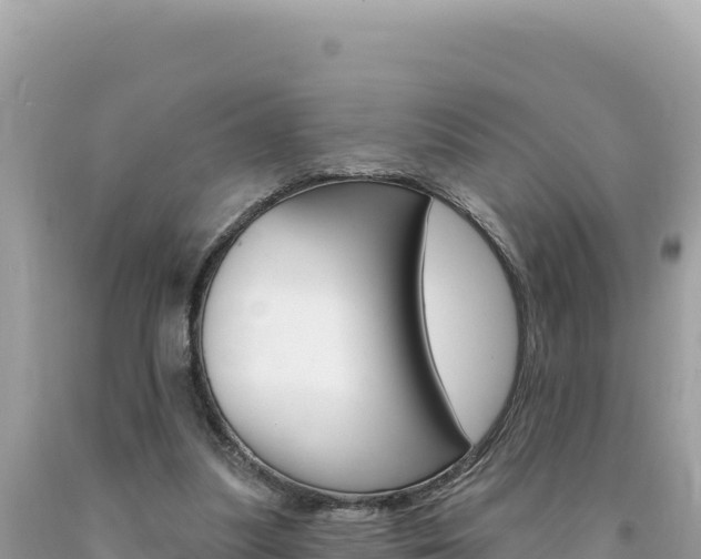 X0000094190251200710261001
