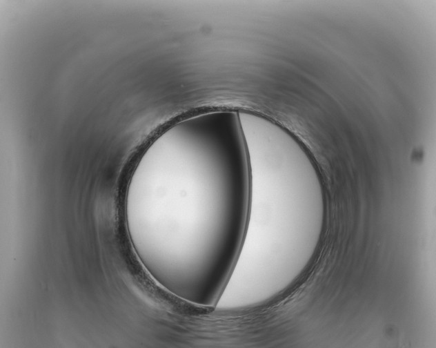 X0000094190252200710261001