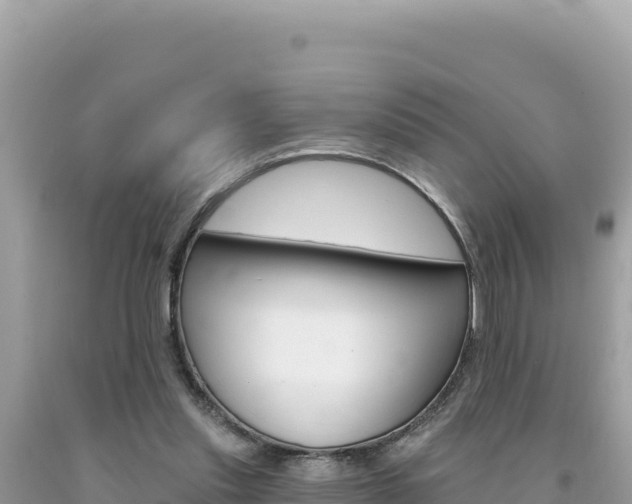 X0000094190253200710261001