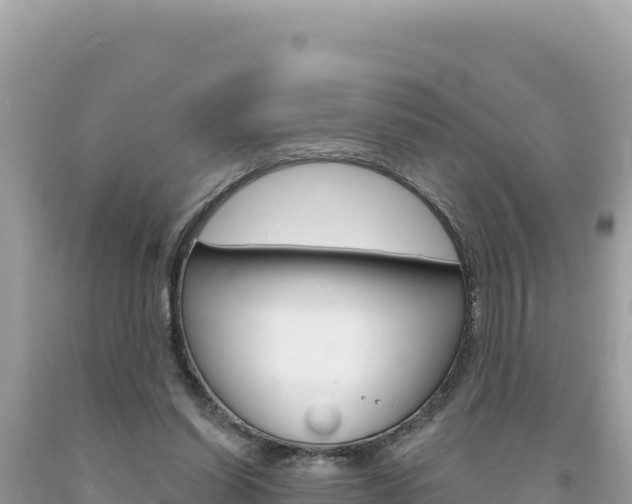 X0000094190254200710261001
