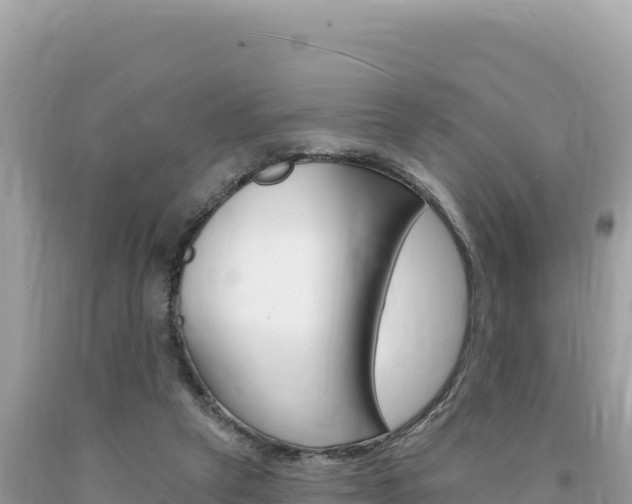 X0000094190257200710261001