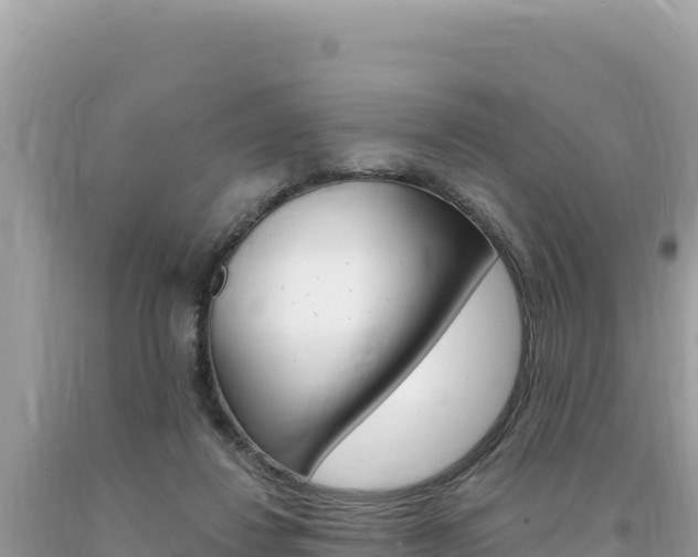 X0000094190260200710261001