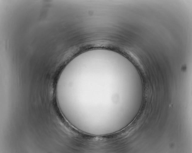X0000094190261200710261001