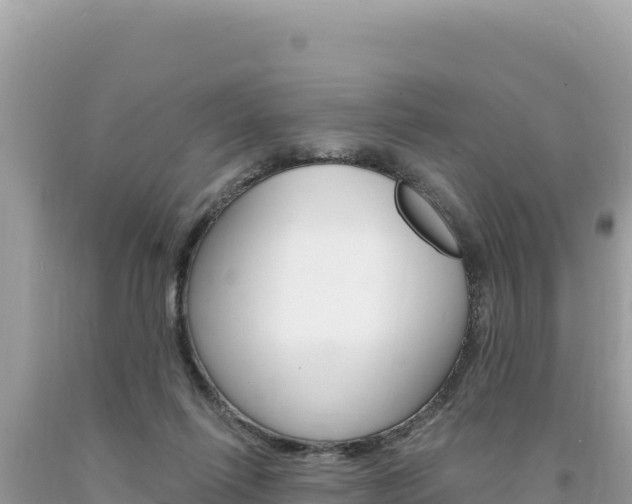 X0000094190262200710261001