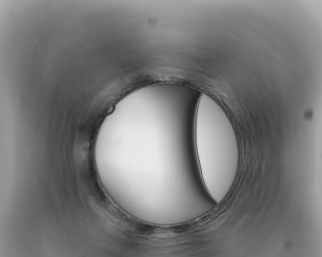 X0000094190263200710261001