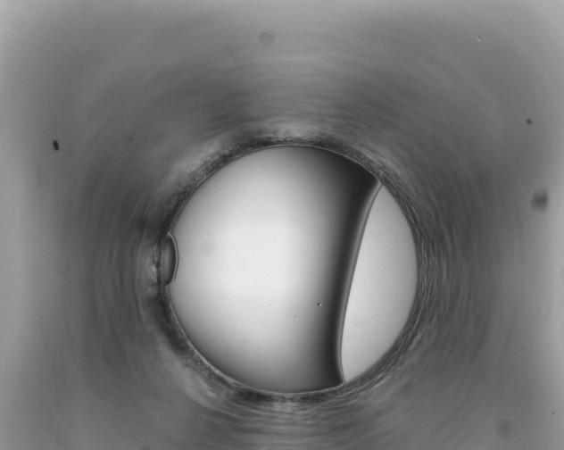 X0000094190264200710261001