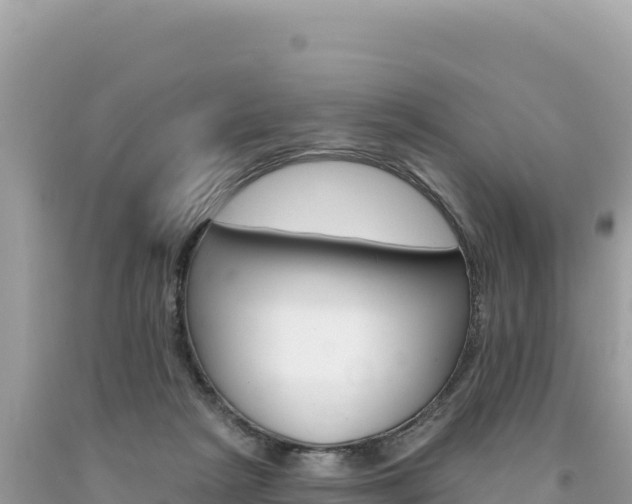 X0000094190265200710261001