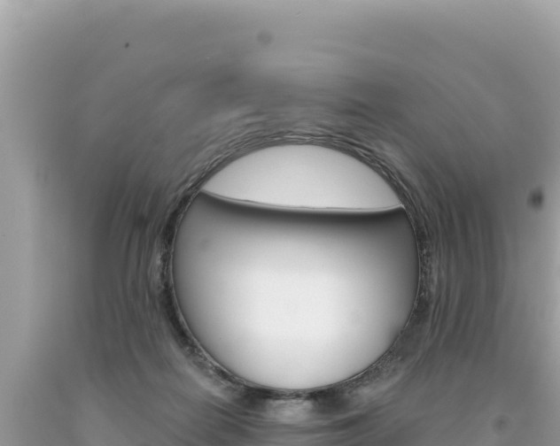 X0000094190266200710261001