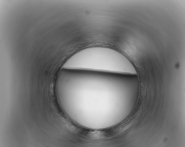 X0000094190269200710261001
