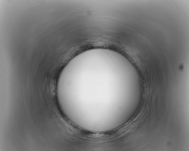 X0000094190273200710261001