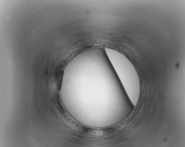 X0000094190276200710261001