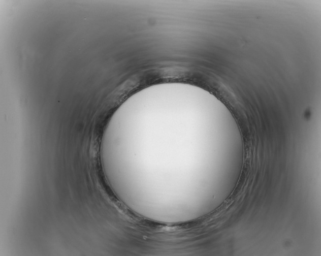 X0000094190277200710261001